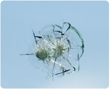 Lynnwood Windshield Repair & Replacement